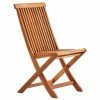 Aktion 🛒 Gardiola Klappstuhl - braun - Akazie massiv 🥰 -Angebote Garten Store 1015020001 1600Wx1600H