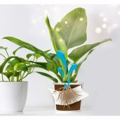 Angebote ⌛ Blattgold Düngetuch - organisch - 12er-Set 🤩 -Angebote Garten Store 2791014200 03 1600Wx1600H