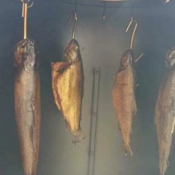 Auslauf 😉 Räucherofen FAIFAX - schwarz - 4+2 Roste + Haken ✔️ -Angebote Garten Store 9002835000 04 1600Wx1600H