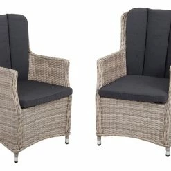 Am billigsten ❤️ 2er-Set Armsessel DIJON - sesamgrau - mit Auflagen ❤️