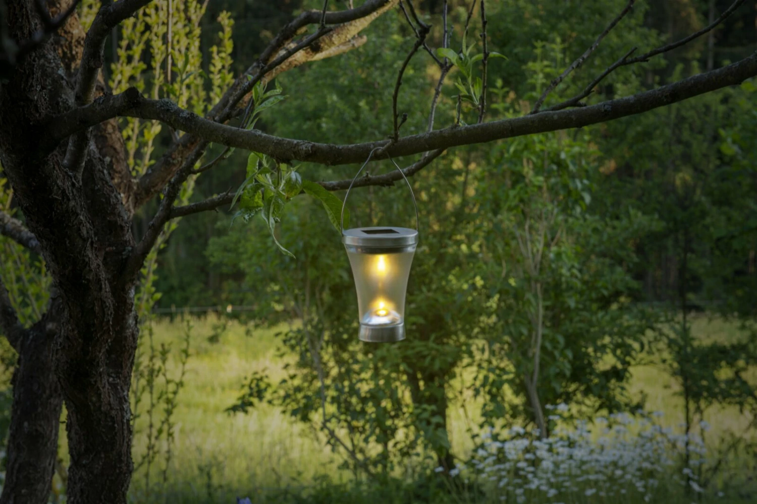 Auslauf 🥰 8er-Set LED-Solarleuchten - stahl-blank - 39,5 cm 🎁 5 Auslauf 🥰 8er-Set LED-Solarleuchten - stahl-blank - 39,5 cm 🎁 – Bild 3