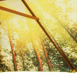 Bester Verkauf 🎉 Sonnenschirm MALAGA - Wald - rund - Ø 300 cm 👏 9 Bester Verkauf 🎉 Sonnenschirm MALAGA - Wald - rund - Ø 300 cm 👏 -Angebote Garten Store 9005220400 04 1600Wx1600H