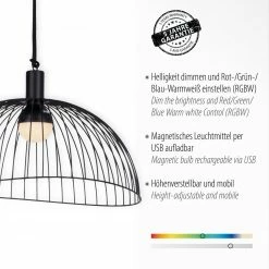 Bestes Angebot 😍 LED-Outdoor-Pendelleuchte - schwarz - dimmbar - RGB 👍 -Angebote Garten Store 9005234800 02 1600Wx1600H