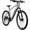 Bester Verkauf 🥰 Zündapp Elektro Mountainbike 29" Z808 - silber-blau - 48 cm ⭐ -Angebote Garten Store 9005337700 1600Wx1600H
