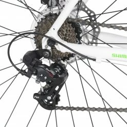 Rabatt 🌟 KS Cycling GRAVELBIKE 28'' XCEED weiß-grün - 58 cm Rahmenhöhe 🛒 -Angebote Garten Store 9005382400 03 1600Wx1600H